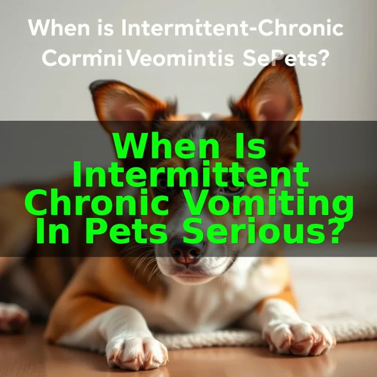 When Is Intermittent Chronic Vomiting In Pets Serious?