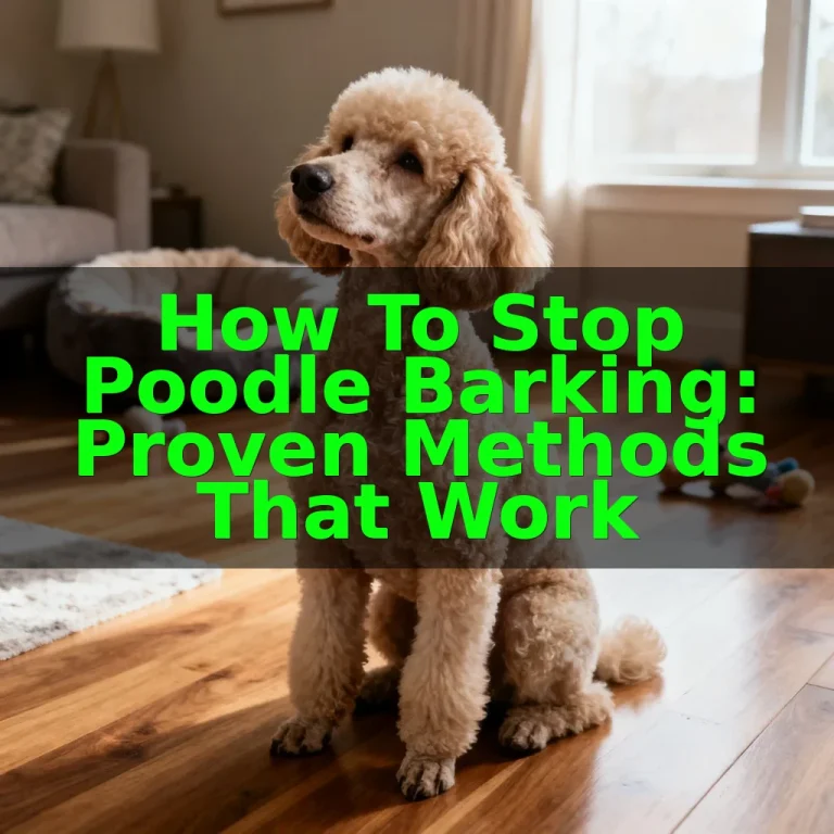 How to Stop Poodle Barking: Proven Methods That Work